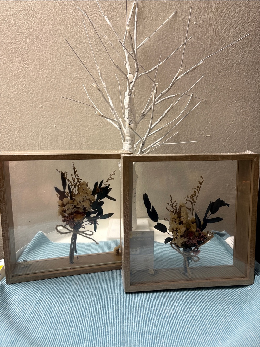 Neutral Wood Framed Preserved Floral Shadow Box - White & Brown